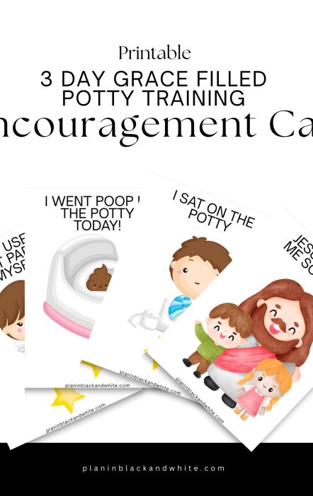 Christian 3 Day Potty Training Toddler Encouragement Flash Cards