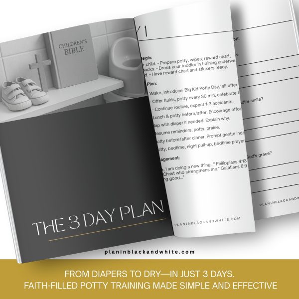 Potty Trained in 3 Days A Christian Parenting Guide To Faith-Based Potty Training - Image 5